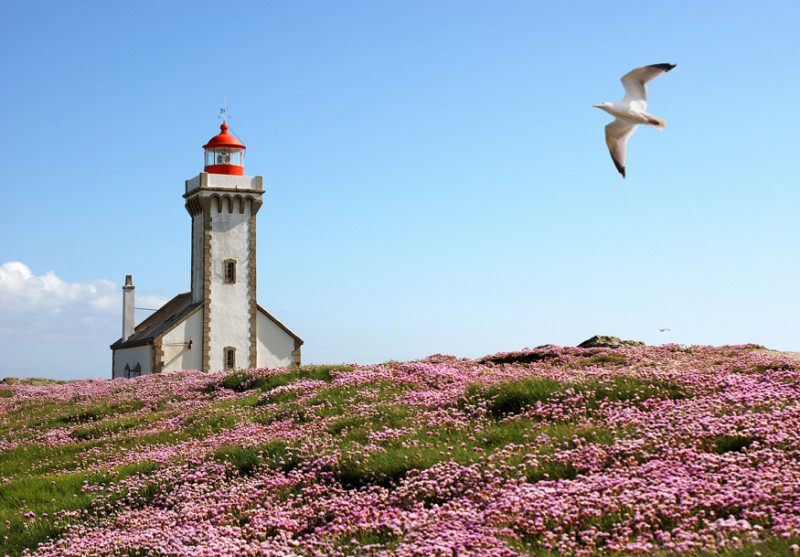 Grand Phare de Belle-Ile-en-Mer